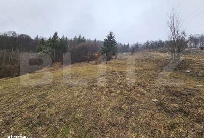 Casă cu 3 camere în Abrud-Sat - 10