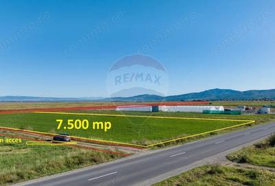 Teren comercial / industrial | 7,500mp Strada Zizinului | Tarlungeni - 1
