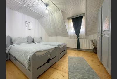 Casa la cheie /vila/pensiune Valiug,Crivaia . - 14