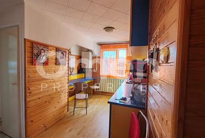 Apartament cu 2 camere semidecomandat, mobilat în Săsar - 2