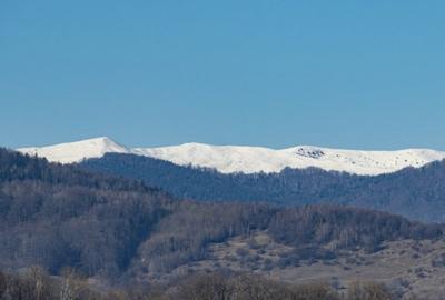 Teren intravilan de 40000 mp, în Teișani - 3