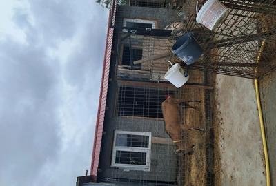 Casă cu 3 camere în Mașloc - 3