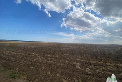 Teren extravilan in Mihail Kogalniceanu, Constanta - 4