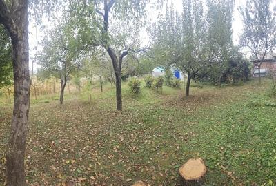 Casă cu 4 camere în Voroveni - 2