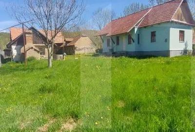 Casă cu 2 camere cu Teren 3100 Mp în Lisnău - 4