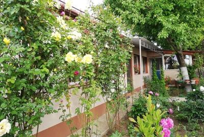 Casă individuală cu 5 camere cu Teren 1200 Mp în Mihai Bravu - 2