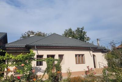 Casă individuală cu 5 camere în Buda