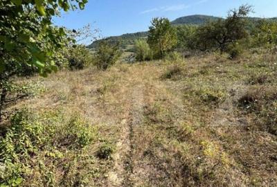 Teren extravilan, 15 arii, pretabil pentru investitii, const - 3