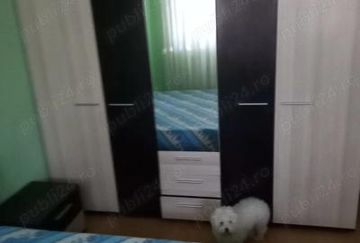 Garsonieră decomandată în Pantelimon - 6