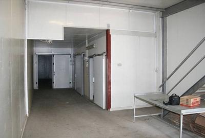 Depozit frigorific cu rampa si anexe - 4