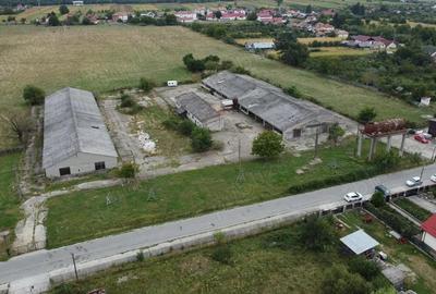 Hale de vanzare in comuna Ciofrangeni, jude? Arge?. - 3