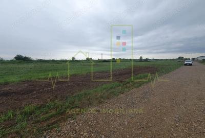 Teren de 600 mp, în Moșnița Nouă