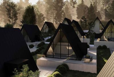 Casă cu 3 camere în Săvârșin