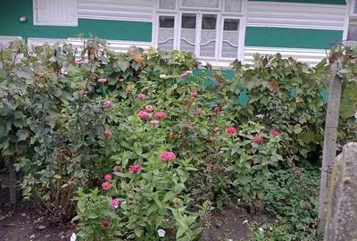 Casa de vânzare Rânceni, Vaslui - 2