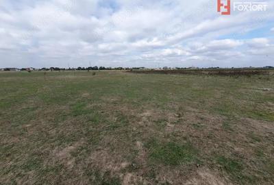 Teren de 1255 mp, în Giroc