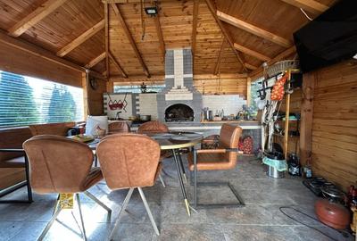 VILĂ CU 5 CAMERE - 150 MP UTILI - BECI, GARAJ, 717 MP TEREN, VIȘAN-BUCIUM - 14