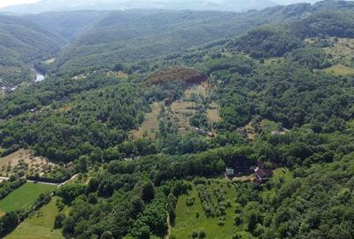 Casă cu 10 camere cu Teren 24700 Mp în Berchezoaia - 4