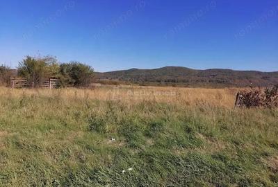 Teren intravilan 3000 mp constructii industriale - 7