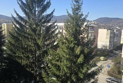 Apartament cu 2 camere decomandat în 22 Decembrie - 8