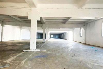 Inchiriere Hale Industriale in Aluni?, Arad 250 mp-1.500 mp - 5