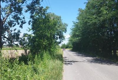 Teren de 1600 mp, în Groși - 1