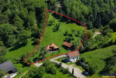 FILM! Casa traditionala pe domeniu de 4.300mp teren, Bran - Simon, Brasov - 14