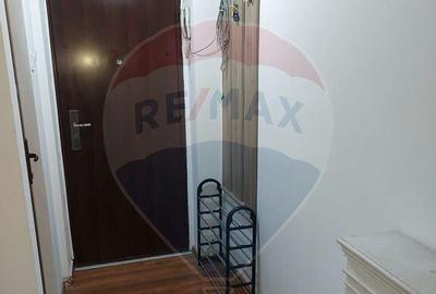 Garsoniera moderna de inchiriat Moise Nicoara - Piata Alb... - 4