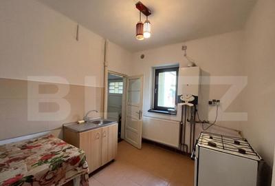 Casa P+1, Brazda lui Novac, 380 mp de teren - 3