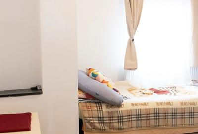 ULTRACENTRAL- CISMIGIU,vila individuala,p+2,renovata si mobilata integral - 8