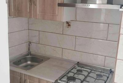 Particular inchiriez garsoniera decomandata Brazda lui Novac. - 4