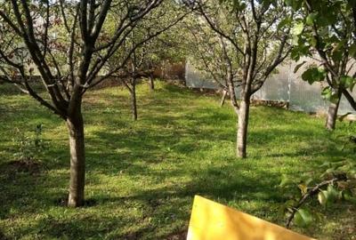 Teren intravilan 500 mp Rediu la 150 ml de soseaua principala. - 1