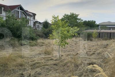 Teren intravilan 704 mp, zona Bariera Vilcii - 2