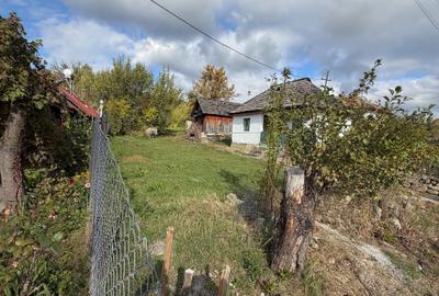 Casă cu 2 camere în Central - 4