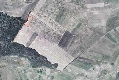 Teren de 5800 mp, în Apahida - 1