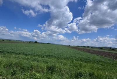 Teren extravilan, 1 hectar, Volovat - 1