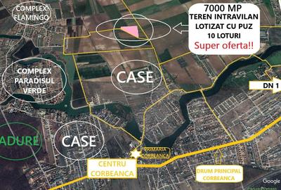 Teren Construcții intravilan de 7000 mp, în Corbeanca - 2