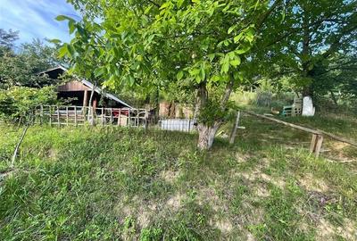 Vila deosebita, 2 corpuri P+M si P+1E, Margineni-Bacau - 29
