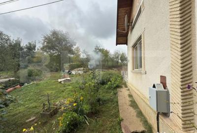 Casă cu 3 camere cu Teren 3088 Mp în Viile Satu Mare - 4