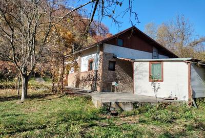 Iedera, Cricovul Dulce, casa de vanzare 90 mp, teren 2.450 mp - 3