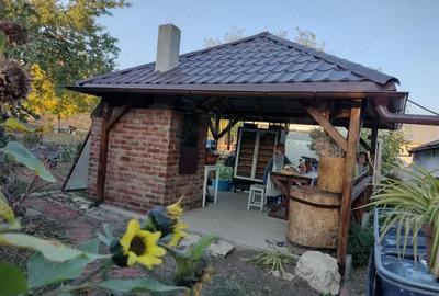 Casa cu Gradina - Greceanca - 2