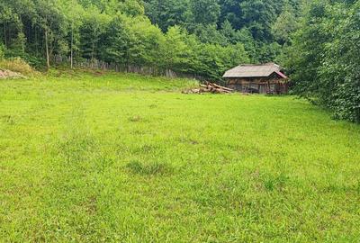 Spațiu comercial, în Malaia - 5