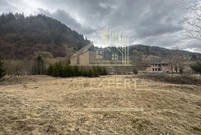 Teren de 7040 mp, în Sătic - 14