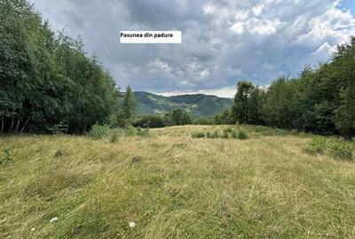 Teren de 35000 mp, în Parva - 10