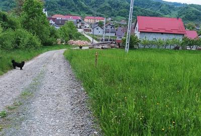 Teren de 3700 mp, în Central