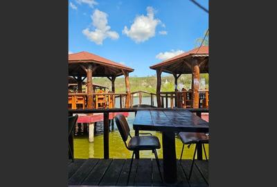 Pensiune cu lac privat și piscină - afacere la cheie în Neamț - 4