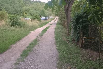 Spațiu comercial, în Almașu Sec - 3