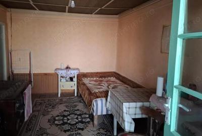 Casă cu 3 camere cu Teren 3600 Mp în Central - 8