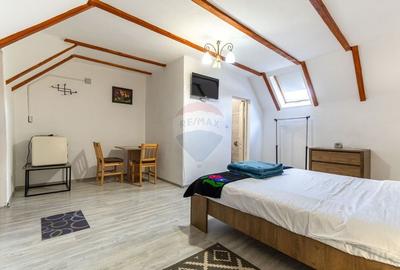 Casa / Vila cu 7 camere de vanzare - 24