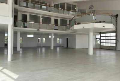 Spațiu comercial, de 910 mp, în Afumați - 7