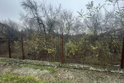 Teren in suprafata de 2165 mp cu front de 30 ml - 4